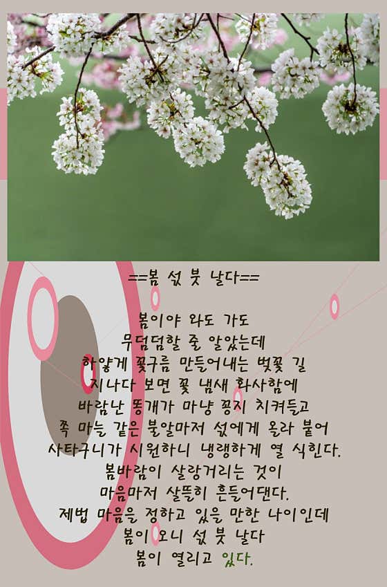 졸리센티에르 사진