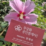 무궁화공인중개사사무소