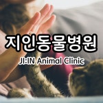 지인동물병원