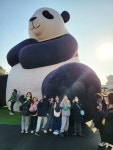 용인대 청파태권도장