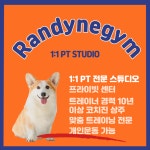 랜디네짐 PT studio