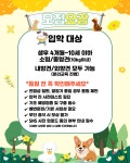 스타반려견교육센터