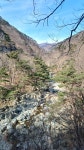경북15바8024