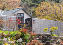 그 해, 경주
