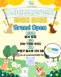 스타반려견교육센터