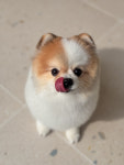 리틀포우