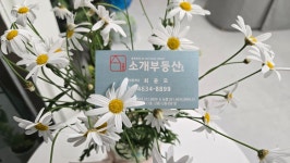 소개부동산