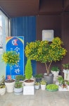 수심검도관