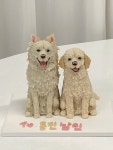 꼬소한댕