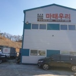마태우리
