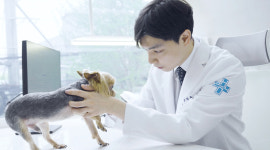 24시해든동물의료센터 의정부점