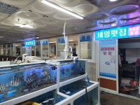 세일활어센타 화명코아점