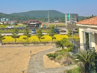 해뜨는초록마을