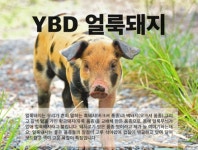 고기왕창고기구이짜글이명촌점 | 고기굽는 짜글이 왕