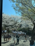 카페목화골