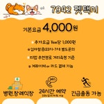 7942펫택시