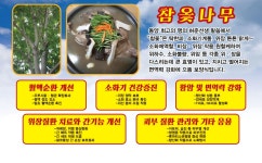 원조감나무집참옻닭오리전문점