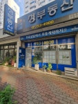 정부동산중개
