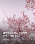 웰킨 두피탈모센터 종로점