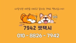7942펫택시