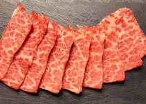 꽃돼지브로