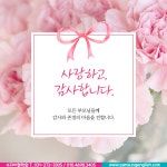 삼성영어셀레나 수지이현학원