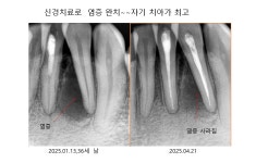 덴타피아치과의원