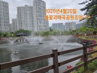에듀파크우리동네부동산공인중개사사무소
