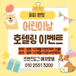 프렌즈도그 유치원 광주 서구점