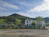 위양지 원카페