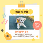 프렌즈도그 호텔 광주 서구점