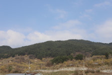 산수유꽃담길평촌영농조합법인