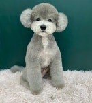 멍데이