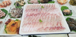 여수용궁횟집 새조개 하모샤브샤브 물회