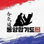 동양합기도