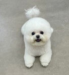 멍데이