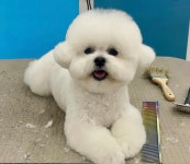 멍데이