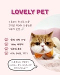 러블리펫