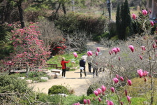 천리포수목원