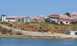 엘파로펜션
