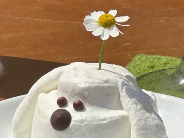 폴스팜