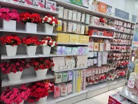 다이소 평택소사벌지구점