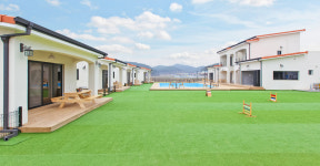 더스테이골드독