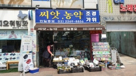 한일종묘사