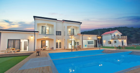 더스테이골드독