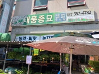 대풍종묘