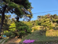 은실농장