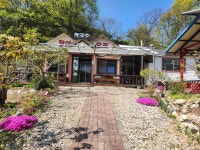 은행나무막국수