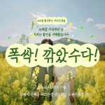 비즈안경 위드렌즈 수원인계점