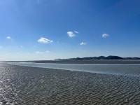 행복 마트
